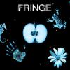 Fringe