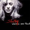 Wall in Your Heart